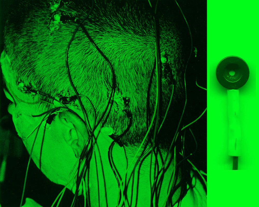 brain waves