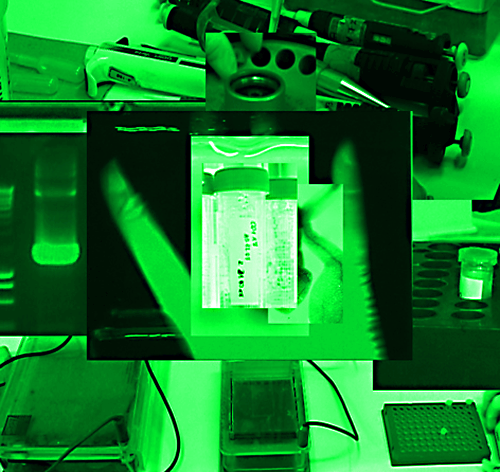 viral research
